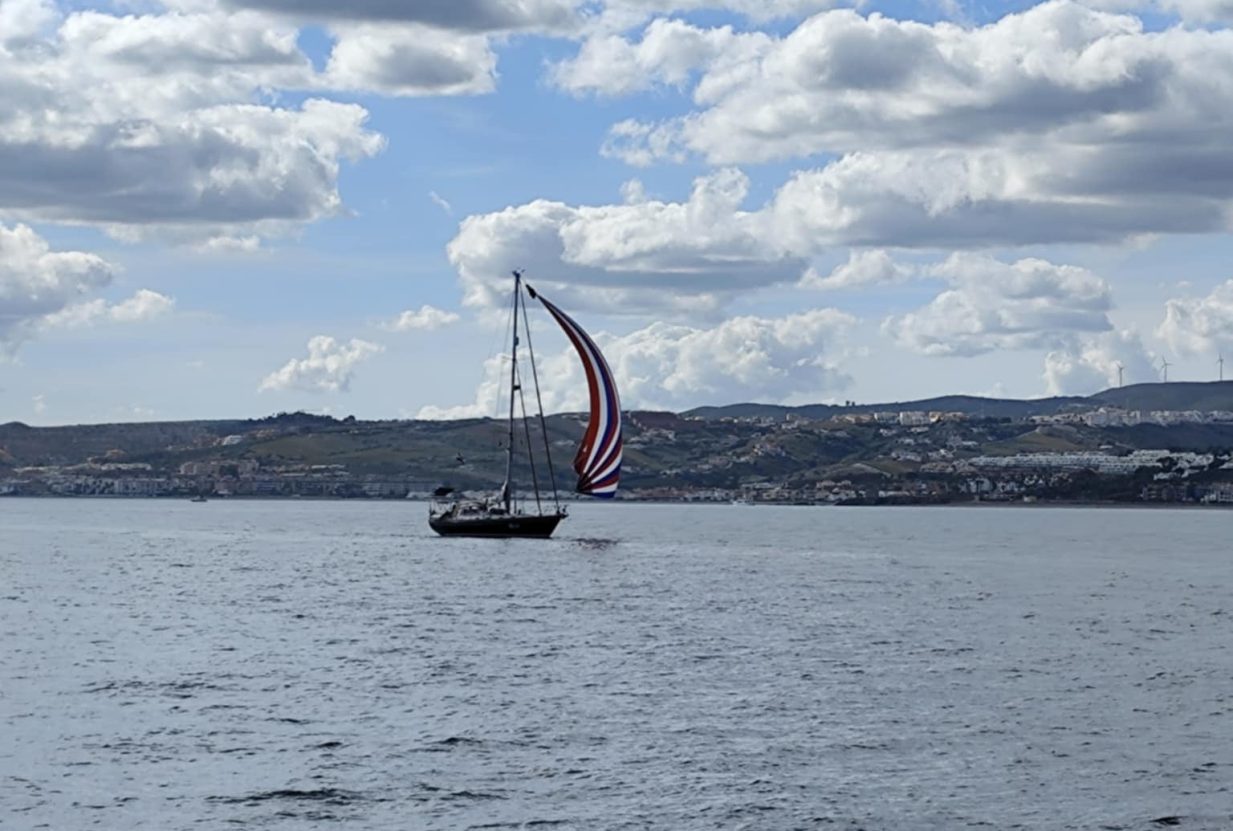 49752146-1f8d-44ba-ae14-cf551f3b8558