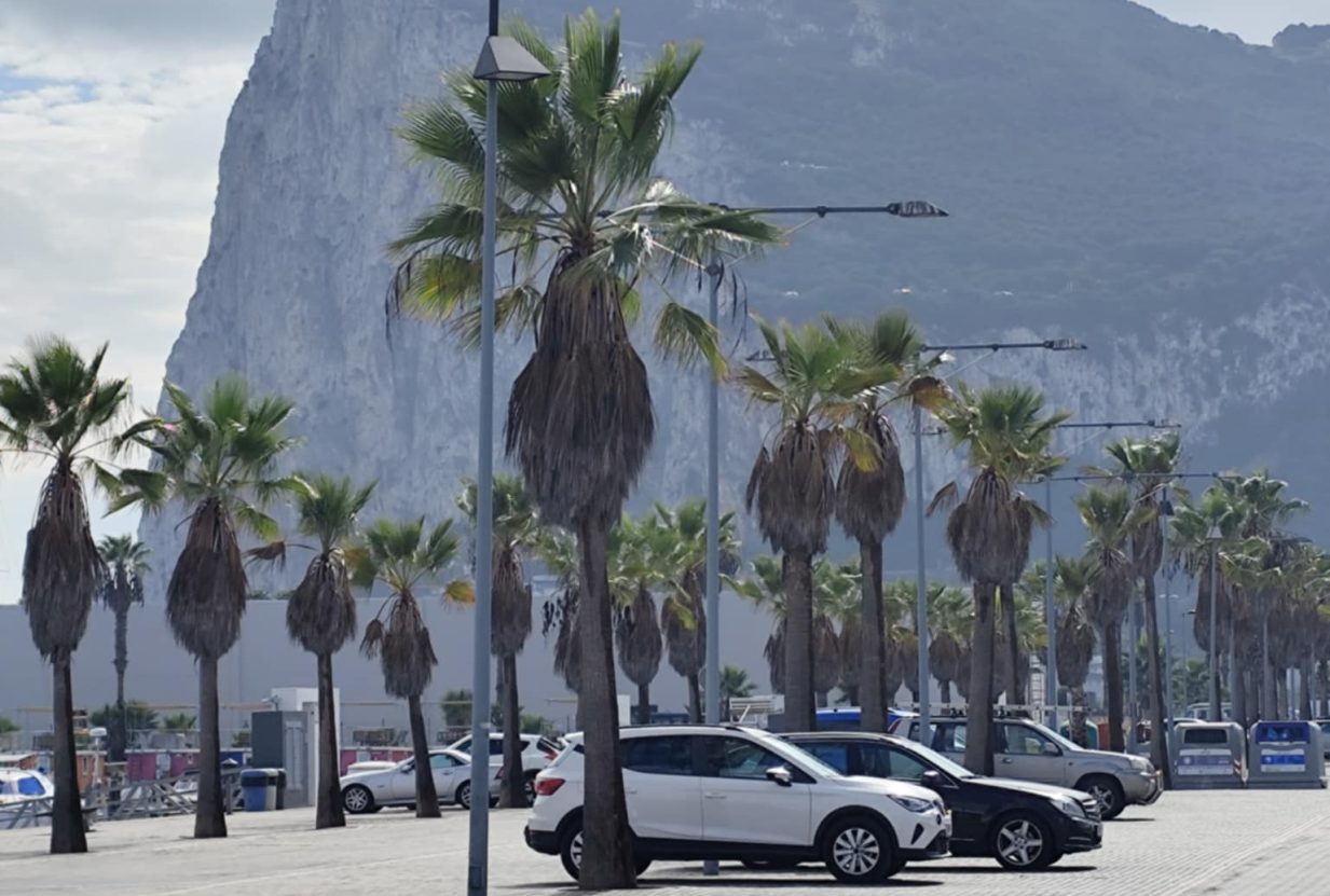 cf67e6d9-705e-4e5f-b9e0-3927d1de2cf8